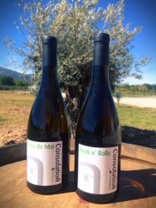 Two bottles with white labels standing on a barrel, in front of an olive tree and a sunny landscape.